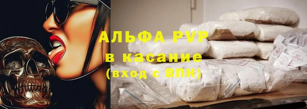 спиды Вяземский