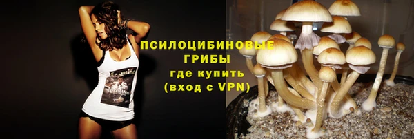 спиды Вяземский